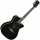 Eko guitars NXT A100ce Black Jumbo elektro-akoestische gitaar