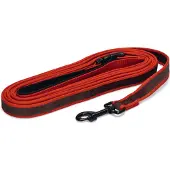 Beeztees Hondenriem Parinca Premium Rood 500 X 2,5 Cm