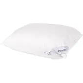 Dreamstar Hoofdkussen Xclusive 90% Down Zacht - 60 x 70