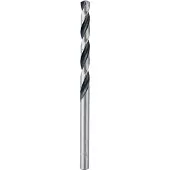 Bosch 10X Metaalboor HSS Pointeq 4,8mm - 2608577216