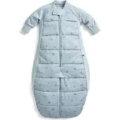 ErgoPouch Sleepsuit Slaapzak- 2,5 Tog - Slaapzak baby - Slaapzakken - Slaapzak kind winter - 2-4 jaar - Dragonflies