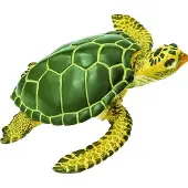 Safari Groene zeeschildpad