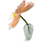 Mimou Liv Vaas - Vazen Mondgeblazen Glas Aqua - G08