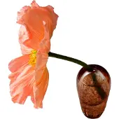 Mimou Liv Vaas Bruin - Vazen Mondgeblazen Glas Brown - G05