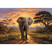 Fotobehang .- Olifant - Safari - Wilde Dieren - Vliesbehang - 416x254cm