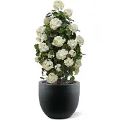 Maxifleur Kunstplanten Geranium pyramide 110cm kunstplant UV Creme
