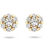 Blush 14 karaats geelgouden oorsieraden met zirkonia 7241yzi