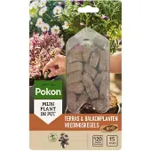 Pokon Terras En Balkonplanten Voeding Langwerkende Kegels 15 St