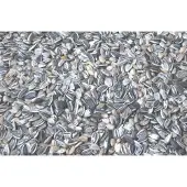 Tweetfeed Zonnebloempitten Gestreept 750 gram - Vogelvoer