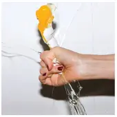 Bertus Distributie Yeah Yeah Yeahs - It's Blitz