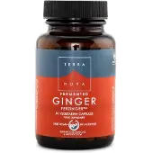 Terranova Fermented ginger 250 mg 50 vcaps