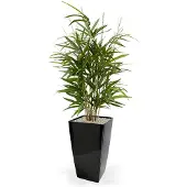 Maxifleur Kunstplanten Royal Bamboe kunstplant 70cm - groen