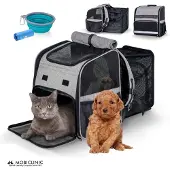 Mobiclinic Tula - Draagtas voor huisdieren - Ventilatienetten - Uitschuifbaar - Inklapbaar - Transparante Katten Reismand - Rugtas voor huisdieren - Hond Rugzak - Dieren Draagtas - Hondenrugzak
