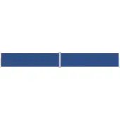 vidaXL Windscherm uittrekbaar 160x1200 cm blauw