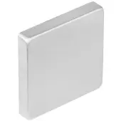 Intersteel afdekplaatje vierkant rvs