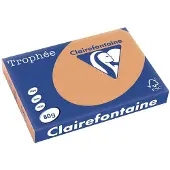 Clairefontaine Gekleurd papier Caramel 80 grams A3 (500 vel)