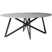 LivingFurn eetkamertafel dt- marble oval web white 200cm marmer / gecoat staal