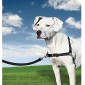 Petsafe Easy Walk Harness grijs/zwart XL