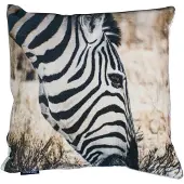 Mars & More kussen fluweel jungle zebra 45x45cm*