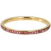 Ixxxi Vulring Zirconia Pink Goud