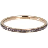 Ixxxi Vulring Zirconia Tanzantie Rosé Goud
