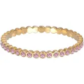Ixxxi Vulring Small Circle Stone Pink
