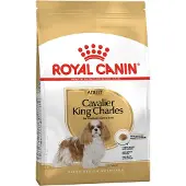 Royal Canin Cavalier King Charles Adult