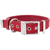 My Family Bilbao Hondenhalsband