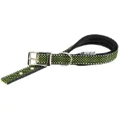 Ferplast Daytona Deluxe 20 Mm 43 Cm Dog Collar Groen