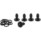 Campagnolo Schijfremmen Schroeven 5 Eenheden