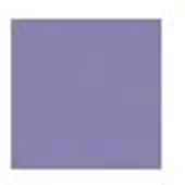 Pilot FriXion Ballpen 0.7mm Uitgumbare pen – Doos van 12 - Violet