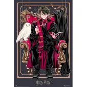 Grupo Erik Poster Harry Potter - Wizard Dynasty 61x91,5cm