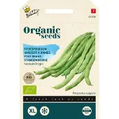 Buzzy Seeds stokspekboon neckarkonigin 50 gram