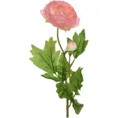 Ksd Ranunculus polyester W8-H57cm soft pink