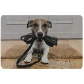 Mars & More deurmat humor jack russell 75x50cm