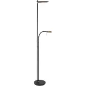 Steinhauer Led Leeslamp 2 Lichts Turound 40w 2200 4000k 187cm Zwart Smoke Glas