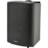 Adastra BP6V-B 100V speaker 120 Watt