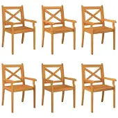vidaXL Tuinstoelen 6 st massief acaciahout