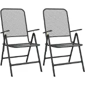 vidaXL Opklapbare stoelen, 2 stuks, van geëxpandeerd metaalgaas, antraciet.