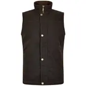 Dubarry Bodywarmer Men Mayfly Java-L