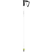 Head Skistok Worldcup Rebels Carbon White / Black-105 cm
