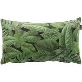 Hartman Lendekussen Sepp Green