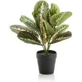 Emerald - Kunstplant in pot Maranta 30cm - Kunstplant voor binnen