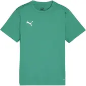 Puma Functioneel shirt 'TeamGoal' groen / wit