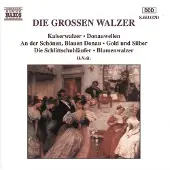 OUTHERE Various Artists - Great Waltzes (CD)