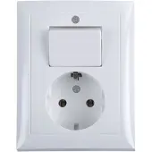 Berker S.1 Geaard Stopcontact met Wisselschakelaar Wit