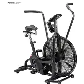 Assault Airbike