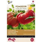 Buzzy 3 stuks Pomodori bistecca f1Buzzy