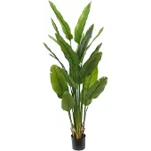 PrettyPlants Strelitzia Kunstplant 2 180cm