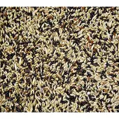 Vogro kanarie zangzaad - kanarievoer - kanariezaad 2.5 kg.